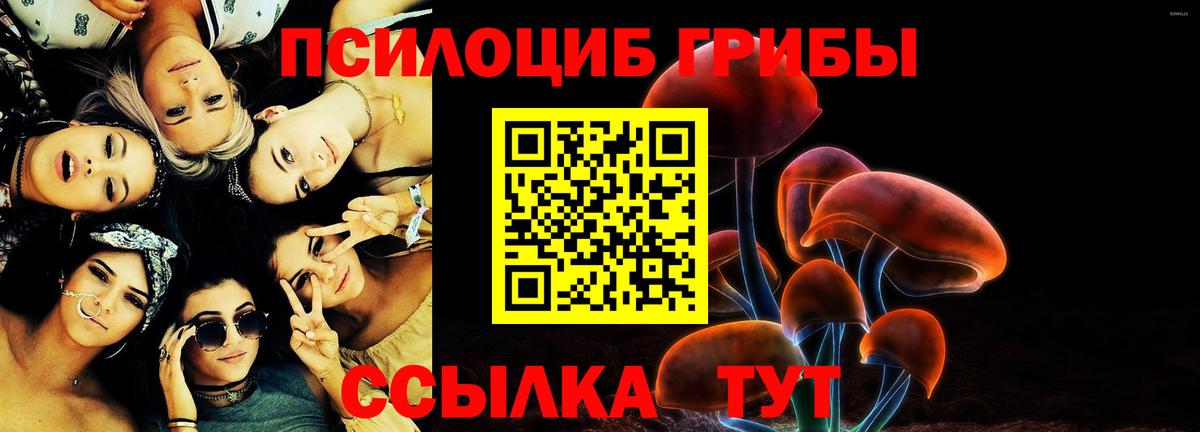 Фролово  Галлюциногенные грибы Psilocybe  Вход с VPN 